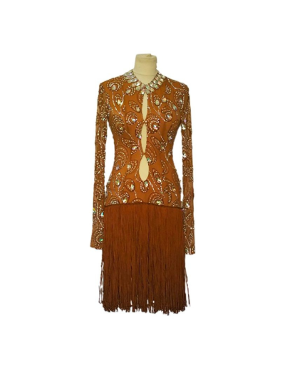 Long Sleeved Latin Dress with Fringe Skirt