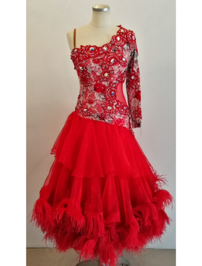 One Shoulder One Sleeved Lace Beaded Ballroom